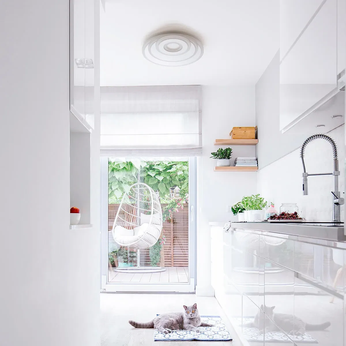 Plafón LED modelo Albiorix con diseño circular - Imagen 7