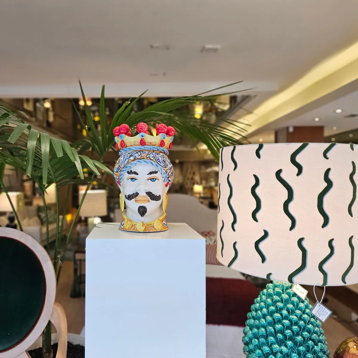 Testa di moro maschio - Imagen 3